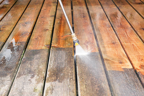 Best Soft Washing  in Trenton, NJ